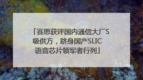 赛思获评国内通信大厂S级供方，跻身国产SLIC语音芯片领军者行列